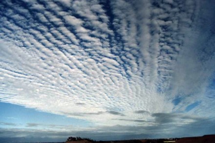 wolkenatlasnl-ac-undulatus-radiatus