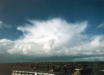 wolkenatlasnl-cb-capillatus