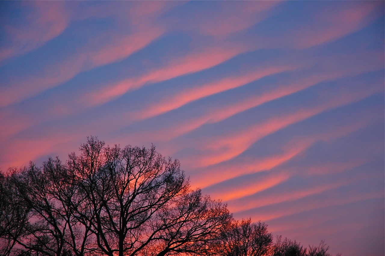 Een prachtige foto van Altocumulus Undulatus, golfwolken beschenen door de net opkomende zon op 3 december 2012 (foto Sarike de Zoeten).