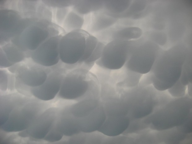 De familie Smits stond op 9 juni 2014 bij Signal de Botrange (het hoogste punt van België) en mocht daar deze prachtige Mammatuswolken aanschouwen. Let op de structuren tussen de "borsten".