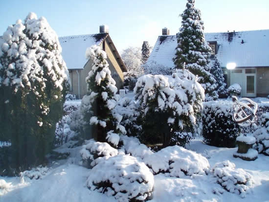 Joop Verstraten uit Siebengewald maakt deze prachtige foto van een onder een dik pak sneeuw bedekt tuinlandschap (foto 5 januari 2009).