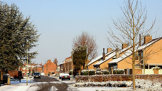 De eerste winterse neerslag van het jaar in Posterholt - Limburg (foto gemaakt door Ajan Everstijn op 31 januari 2012).