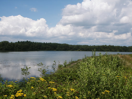 Deze foto is ingezonden door Ingrid van der Cruijsen uit Mill en toont de prachtige natuur van het tussen Mill en Langenboom gelegen recreatiegebied de Kuilen - augustus 2007.  - Uw natuurfoto's