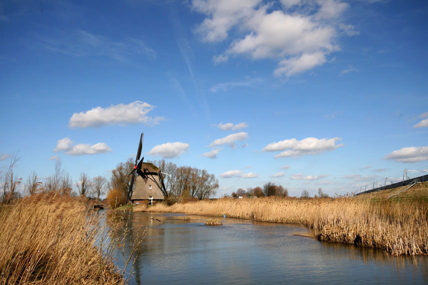  Prachtige foto van de omgeving van de molen te Geldermalsen, ingezonden door Marinus de Keijzer uit Rhenoy en genomen op 14 maart 2008. - Uw natuurfoto's