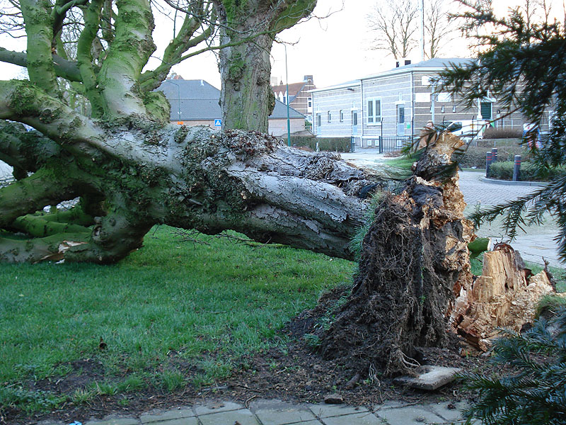 stormschade-18januari2007-02