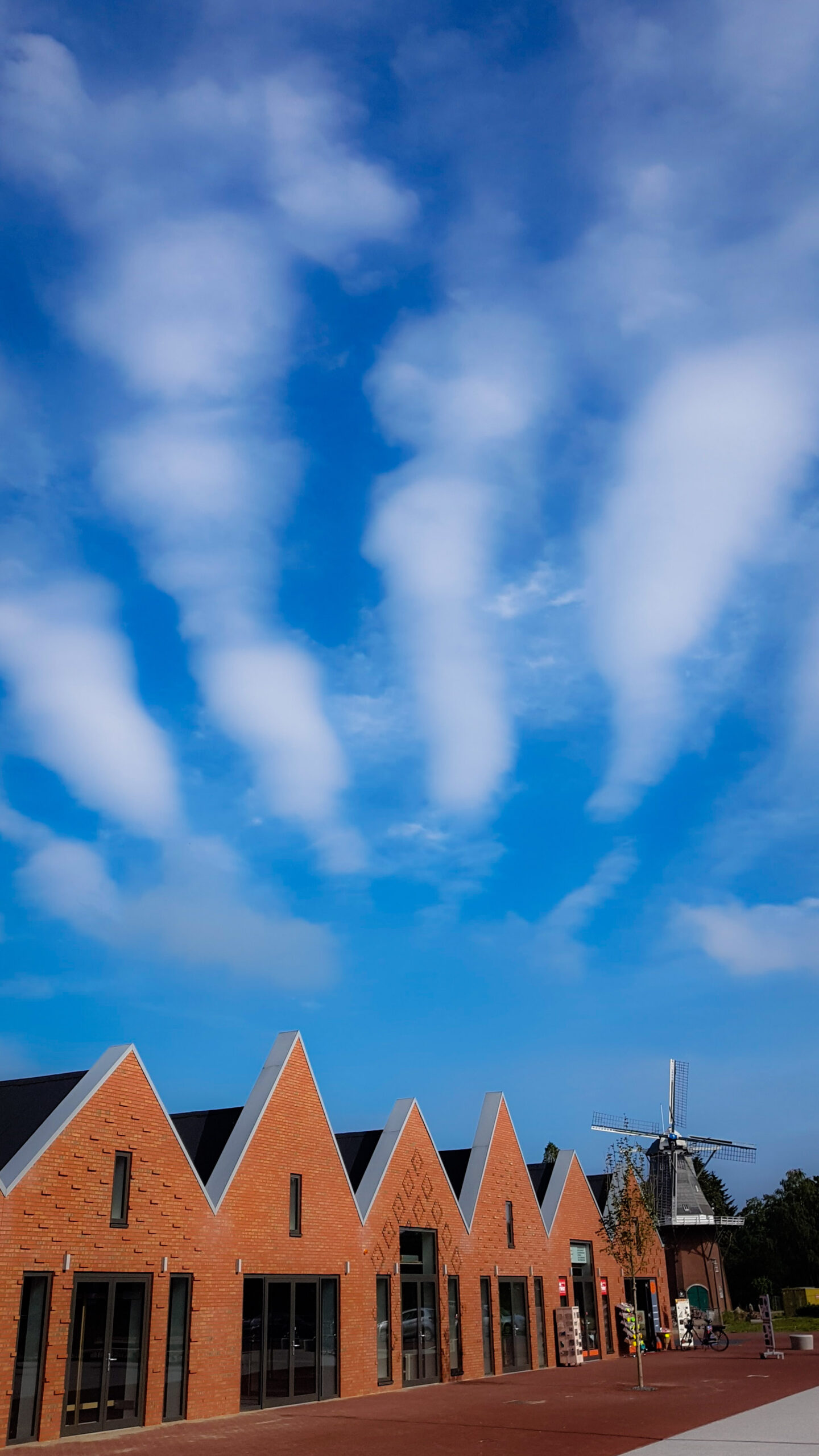 Stratocumulus undulatus